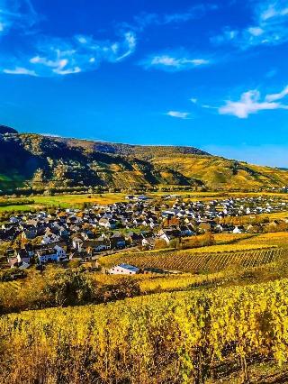 Weinhaus Simon fotoÄŸrafÄ±