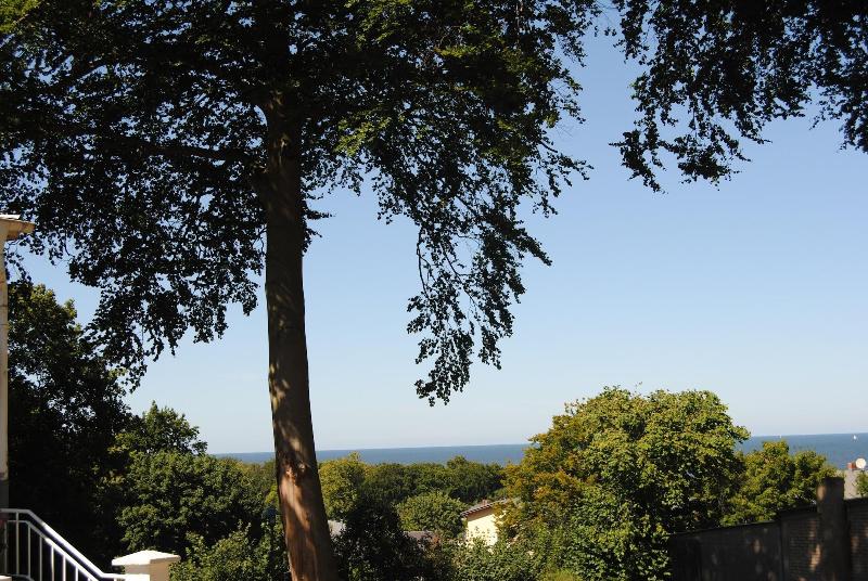 Weisses Schloss - Genel