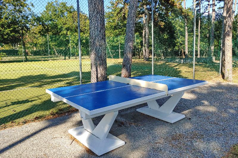 Camping Mare Pineta - Aktivite