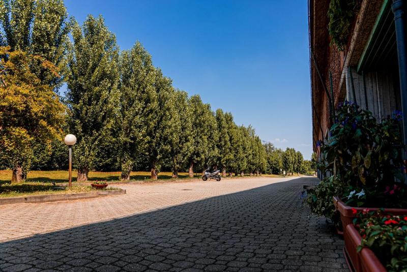 Business Hotel - Genel
