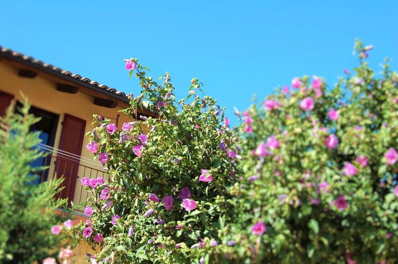 La Valle B&B - Genel