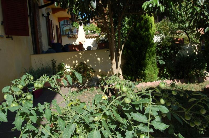La Valle B&B - Genel