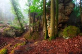 Koch-Schilt fotoÄŸrafÄ±