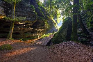 Koch-Schilt fotoÄŸrafÄ±
