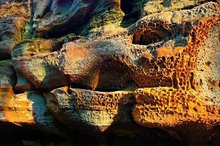 Koch-Schilt fotoÄŸrafÄ±