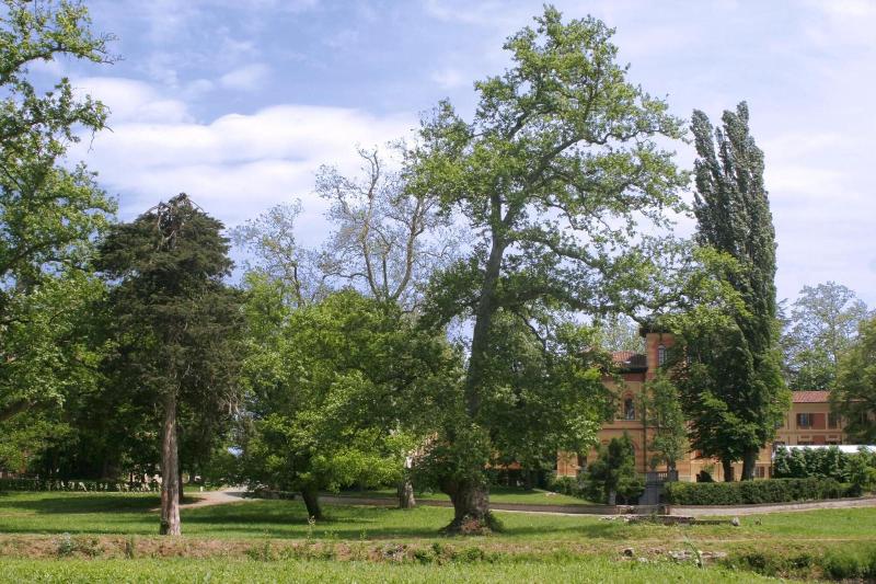 Villa Scati - Genel