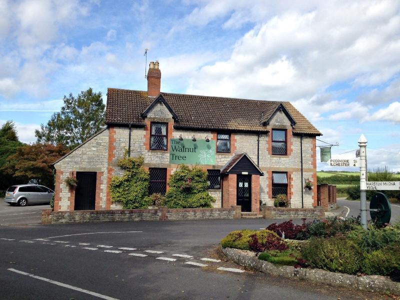 The Walnut Tree - Genel