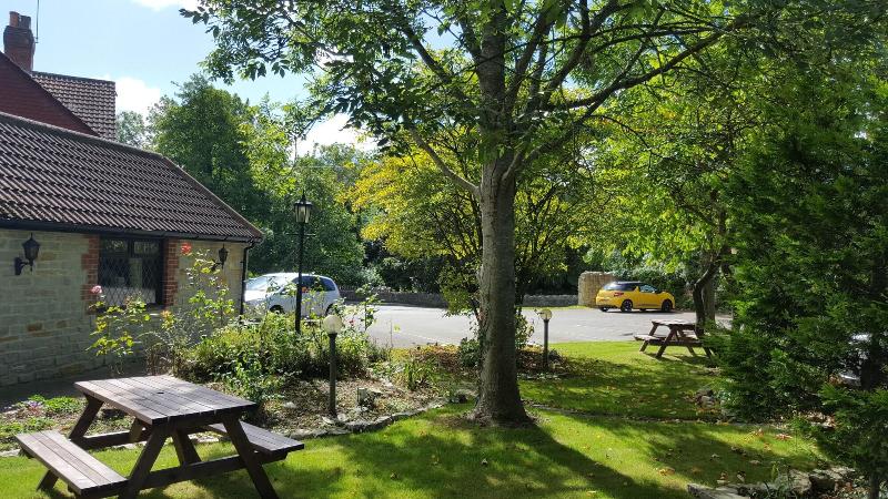 The Walnut Tree - Genel