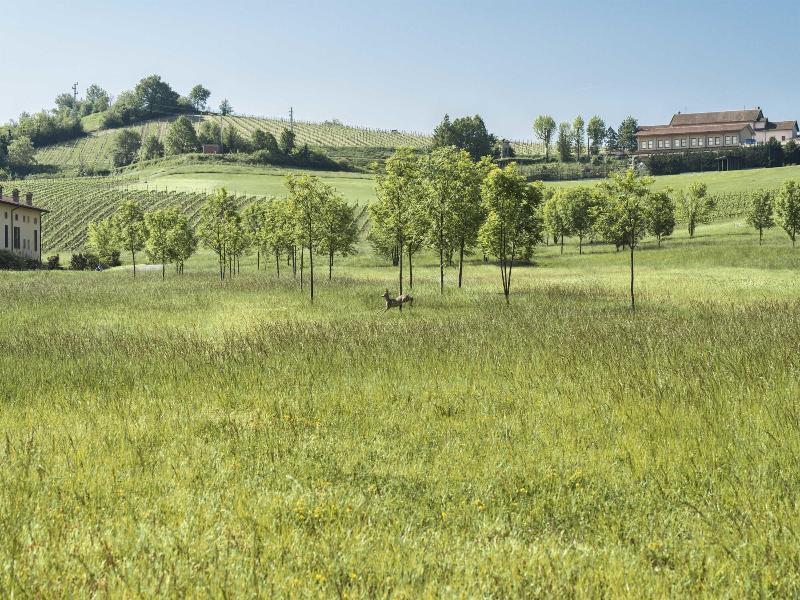 Serravalle Golf Hotel - Aktivite