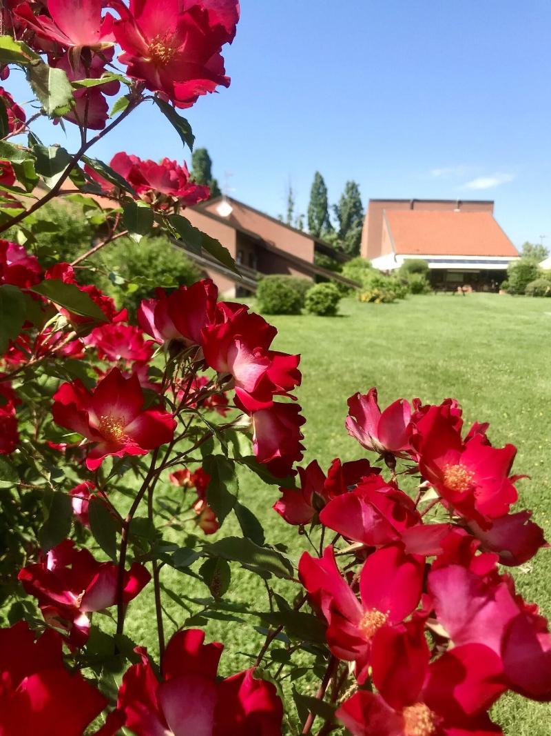 Serravalle Golf Hotel - Oda