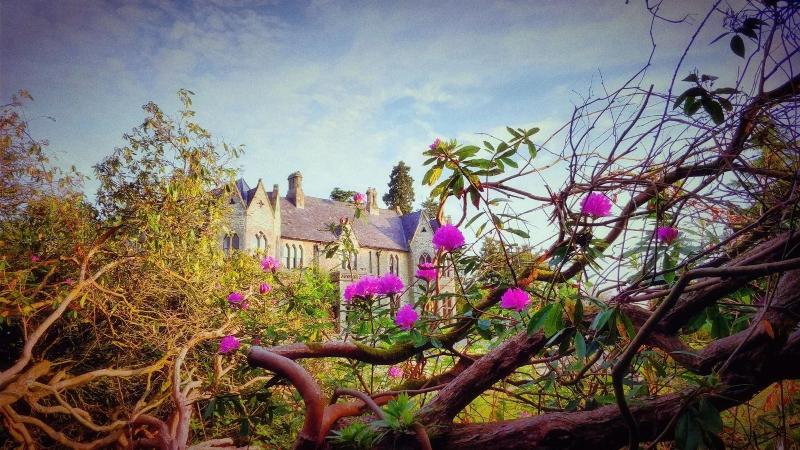 Mellington Hall Hotel - Genel