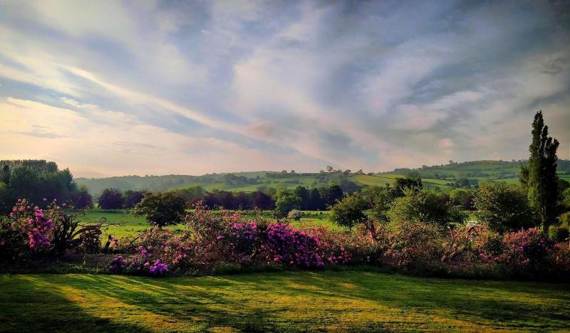 Mellington Hall Hotel - Genel
