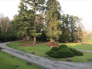Mellington Hall Hotel fotoÄŸrafÄ±
