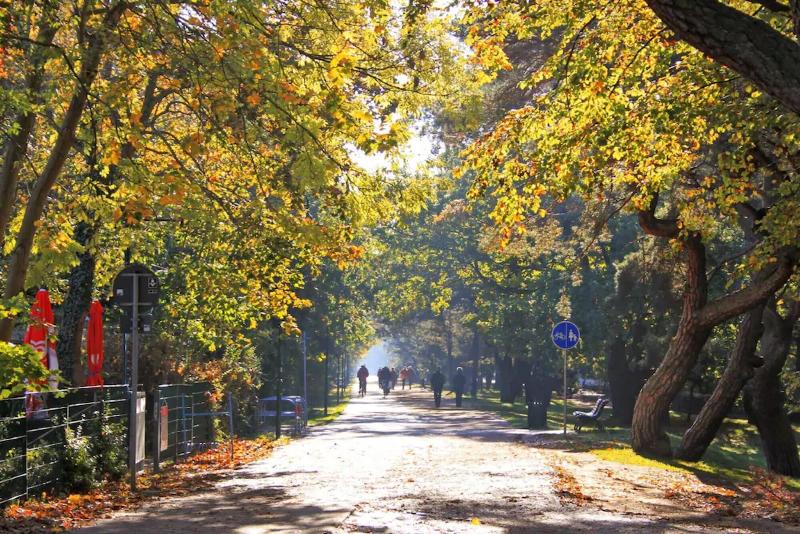 Ostseeresidenz Heringsdorf - Genel