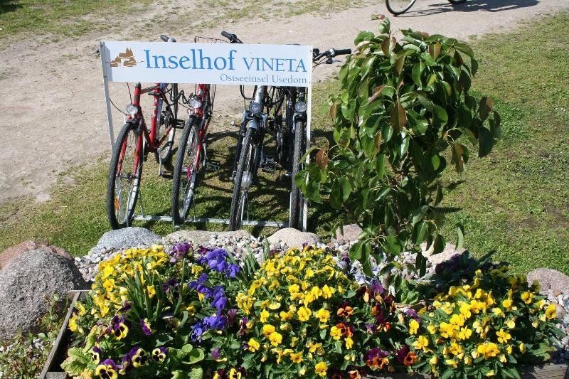 Inselhof Vineta - Genel