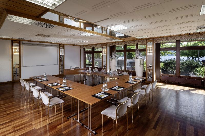 Maritim TitiseeHotel - Toplantı