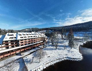 Maritim TitiseeHotel fotoÄŸrafÄ±