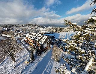 Maritim TitiseeHotel fotoÄŸrafÄ±