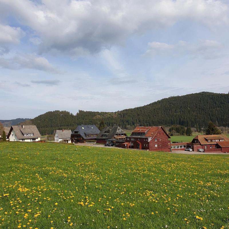 B + B Hotel Titisee Sonnenmatte nahe Badeparadies - Aktivite