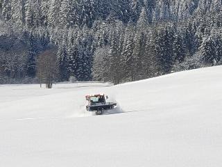 B + B Hotel Titisee Sonnenmatte nahe Badeparadies fotoÄŸrafÄ±