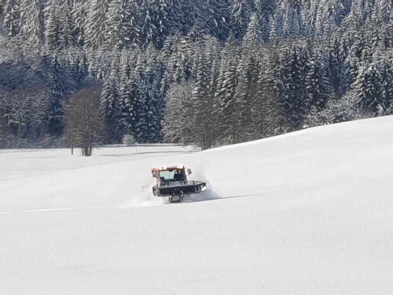 B + B Hotel Titisee Sonnenmatte nahe Badeparadies - Aktivite