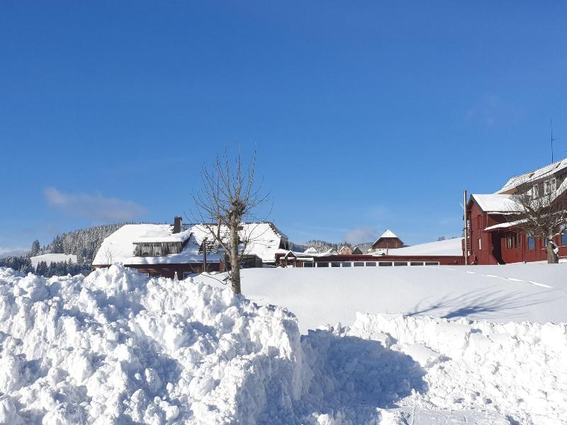 B + B Hotel Titisee Sonnenmatte nahe Badeparadies - Aktivite