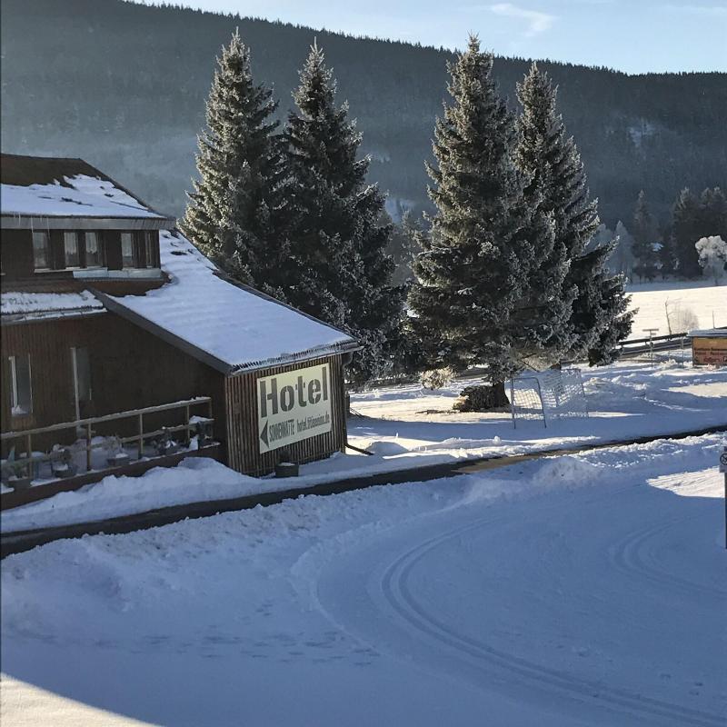 B + B Hotel Titisee Sonnenmatte nahe Badeparadies - Genel