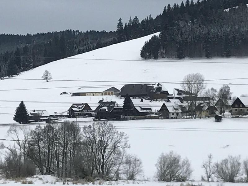 B + B Hotel Titisee Sonnenmatte nahe Badeparadies - Genel