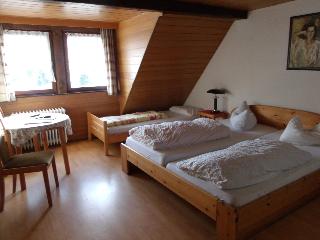 B + B Hotel Titisee Sonnenmatte nahe Badeparadies fotoÄŸrafÄ±