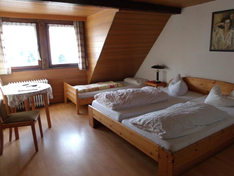 B + B Hotel Titisee Sonnenmatte nahe Badeparadies - Oda
