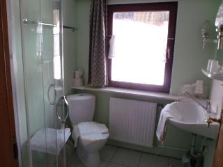 B + B Hotel Titisee Sonnenmatte nahe Badeparadies fotoÄŸrafÄ±