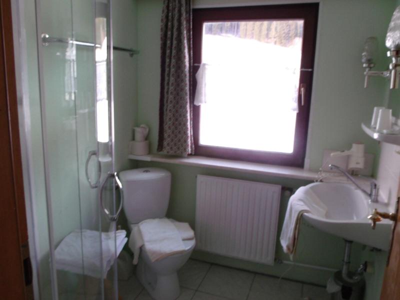 B + B Hotel Titisee Sonnenmatte nahe Badeparadies - Oda