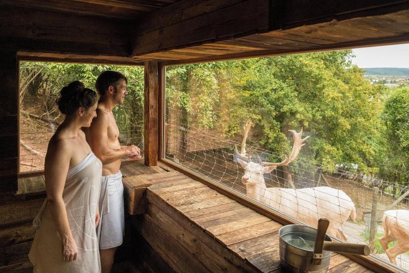 BollAnt's Spa Im Park - Aktivite