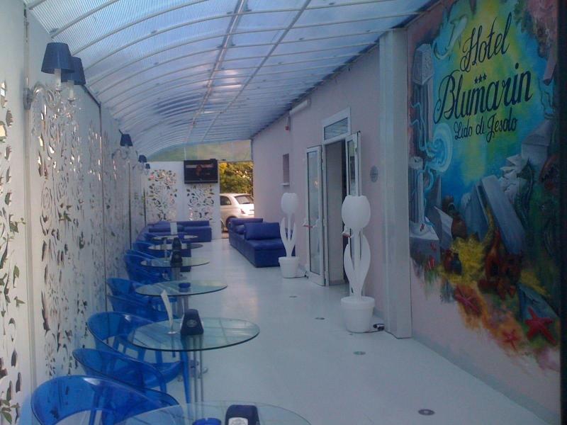 Hotel Blumarin - Genel