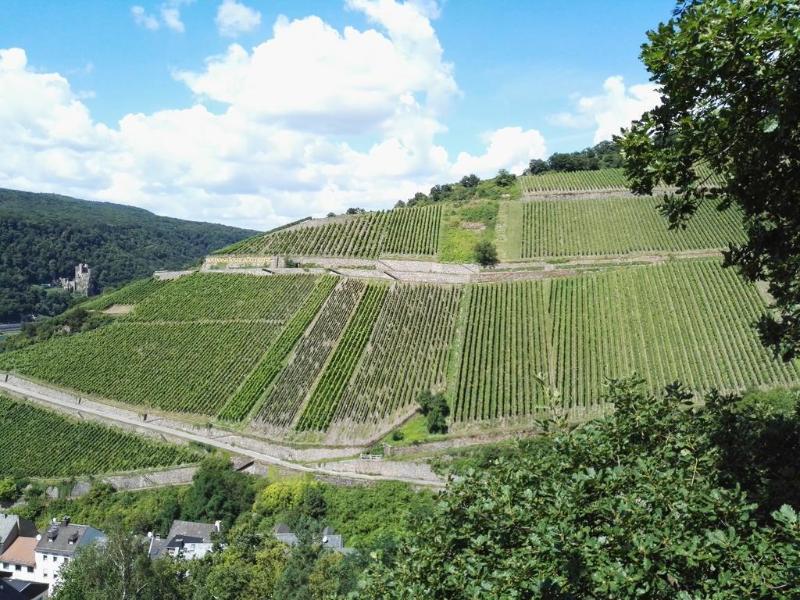 Hotel Trapp - Genel
