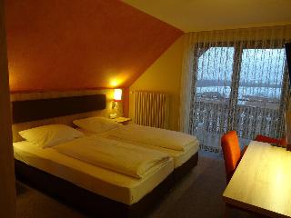 Gasthof Hotel Zum Ross fotoÄŸrafÄ±