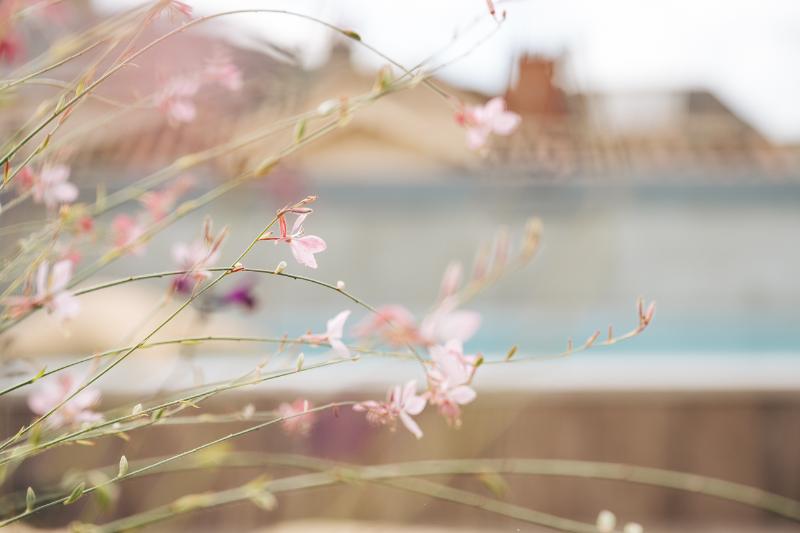 Urban Style Les Fleurines - Genel