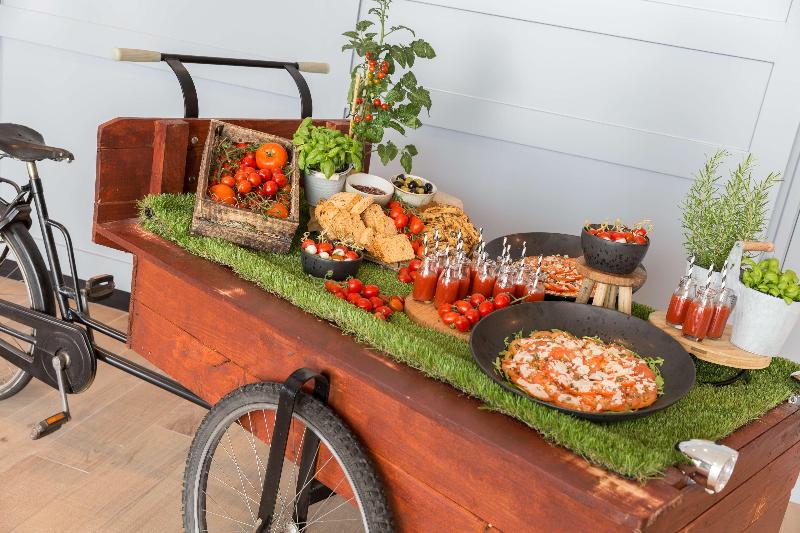 Radisson Blu Amsterdam Airport - Toplantı