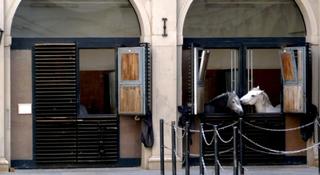 Pertschy Palais Hotel fotoÄŸrafÄ±