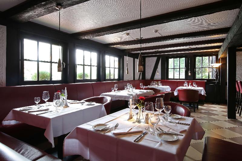 Alte Mühle - Restoran
