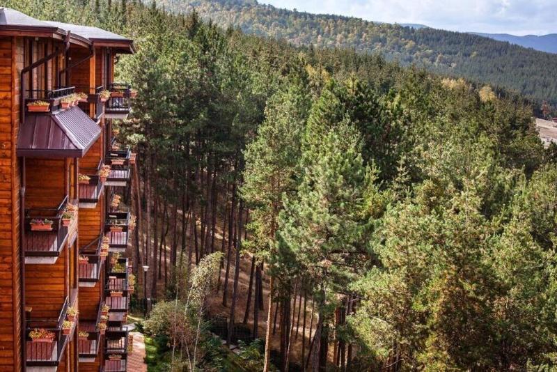 Maxi Velingrad Spa Hotel - Genel