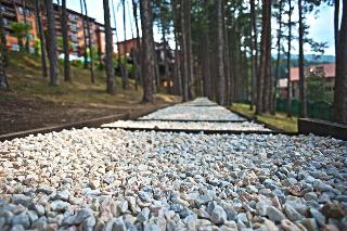 Maxi Velingrad Spa Hotel fotoÄŸrafÄ±
