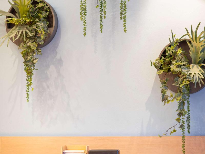 Novotel Maastricht - Toplantı