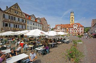 Savoy Hotel Bad Mergentheim fotoÄŸrafÄ±