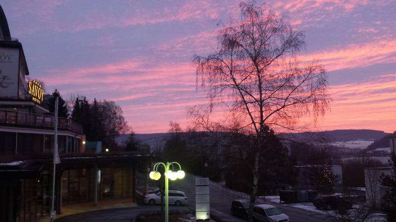 Savoy Hotel Bad Mergentheim - Genel