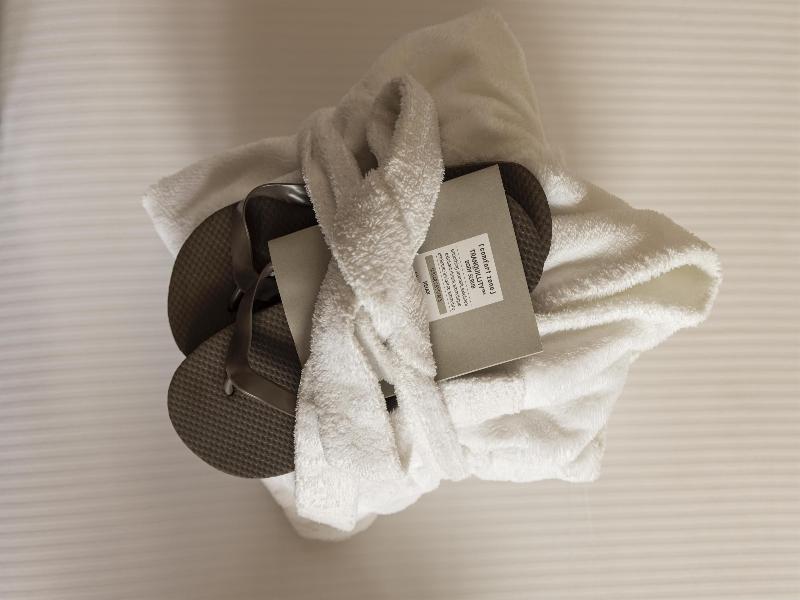 Horizon Wellness & Spa Resort BW Signature - Oda