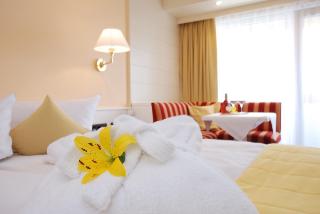 Ringhotel Wittelsbacher Höh fotoÄŸrafÄ±