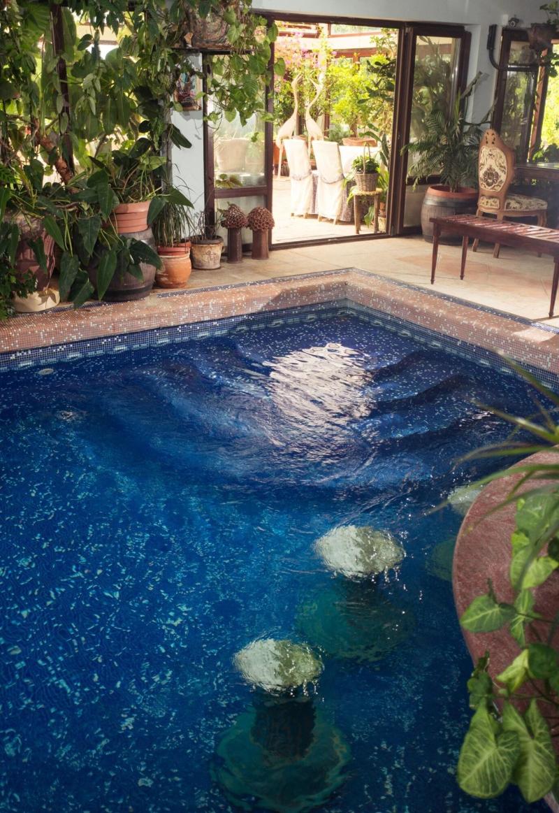 Dallas Residence - Havuz