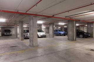 Pace fotoÄŸrafÄ±