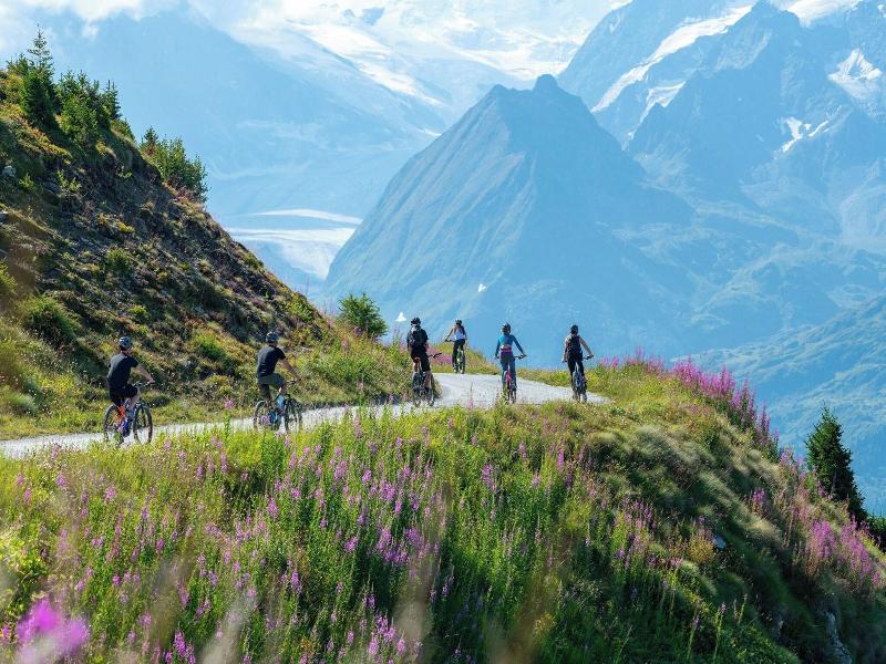 W Verbier - Genel